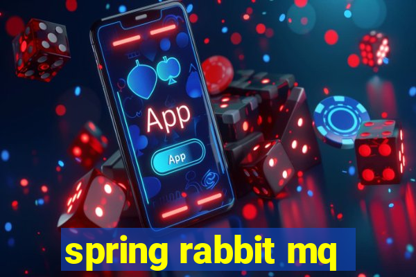 spring rabbit mq